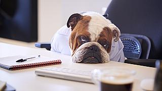 Lednová únava je normální. Co s ní dělat v pracovním dni?